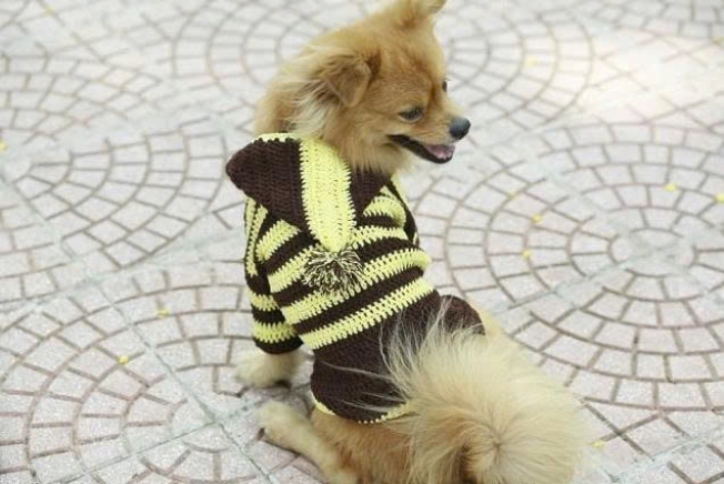 JESMARY - Export-Quality Pet Clothes – The Perfect Choice for Pet Owners